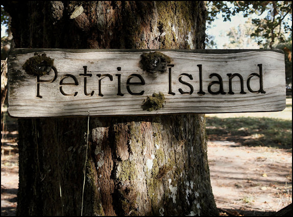 The History of Petrie Island