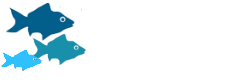 Petrie Island Bait Shop